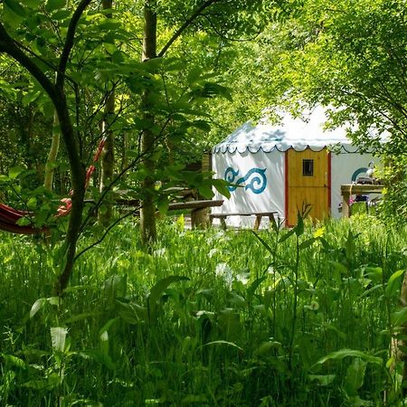 Plush Tents Yurt Village Chichester Exterior foto